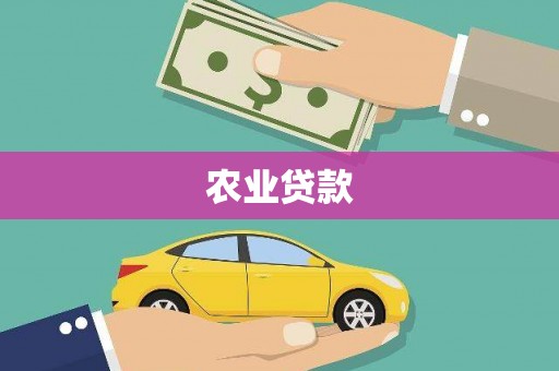 宁城农业贷款