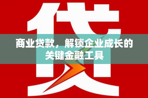庄浪商业贷款，解锁企业成长的关键金融工具