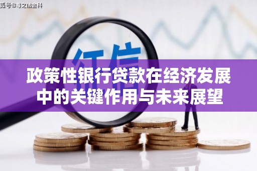 西和政策性银行贷款在经济发展中的关键作用与未来展望