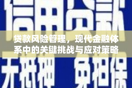 平溪贷款风险管理，现代金融体系中的关键挑战与应对策略