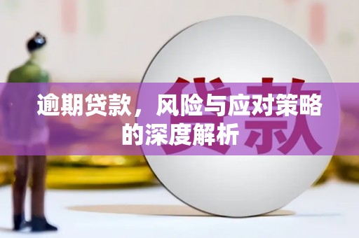 庄浪逾期贷款，风险与应对策略的深度解析