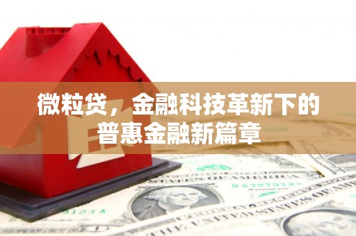 郴州微粒贷，金融科技革新下的普惠金融新篇章