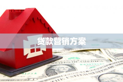 云龙贷款营销方案