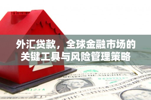 泸州外汇贷款，全球金融市场的关键工具与风险管理策略