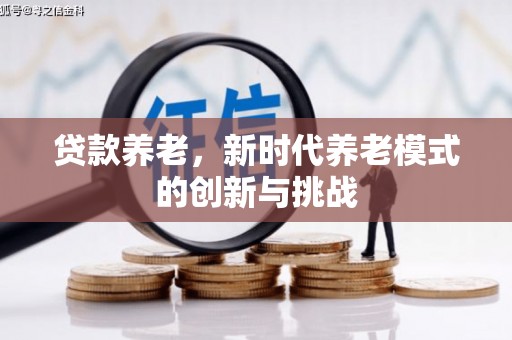 疏附贷款养老，新时代养老模式的创新与挑战