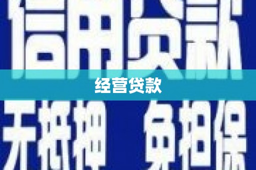 单县经营贷款