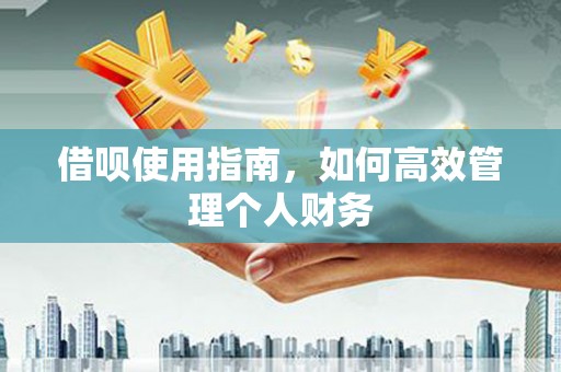 潍城借呗使用指南，如何高效管理个人财务