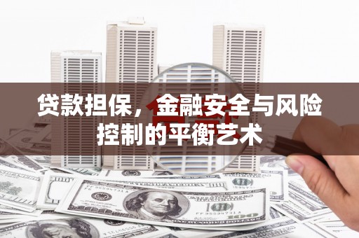 南投贷款担保，金融安全与风险控制的平衡艺术