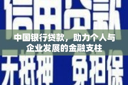 绥滨中国银行贷款，助力个人与企业发展的金融支柱