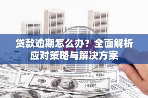盐城贷款逾期怎么办？全面解析应对策略与解决方案