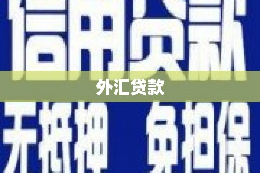 华宁外汇贷款