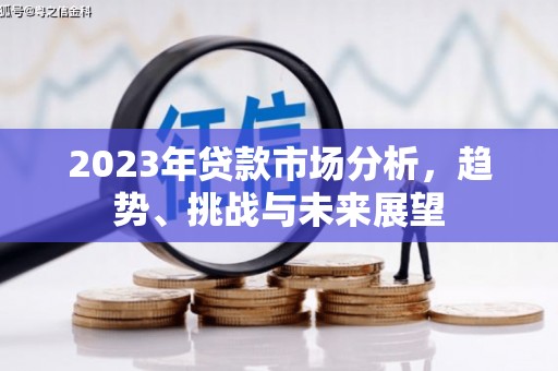 沙依巴克2023年贷款市场分析，趋势、挑战与未来展望
