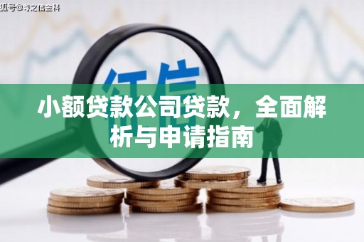 绥滨小额贷款公司贷款，全面解析与申请指南