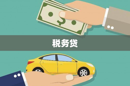 雁江税务贷