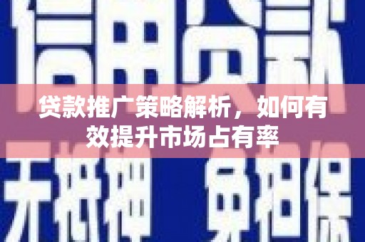 林园贷款推广策略解析，如何有效提升市场占有率