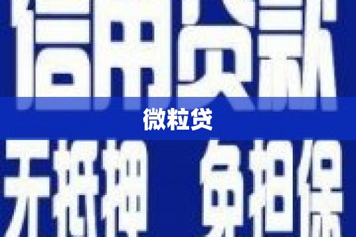 赤城微粒贷