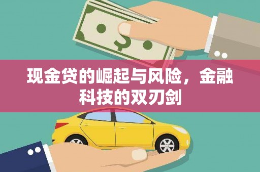 东西湖现金贷的崛起与风险，金融科技的双刃剑