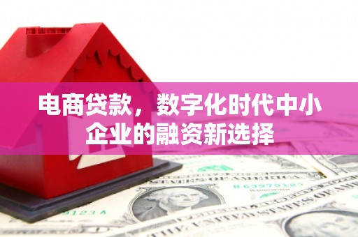 南乐电商贷款，数字化时代中小企业的融资新选择
