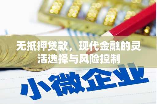 遵化无抵押贷款，现代金融的灵活选择与风险控制