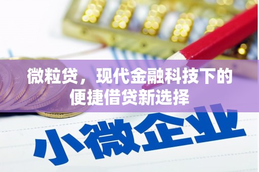 弥陀微粒贷，现代金融科技下的便捷借贷新选择