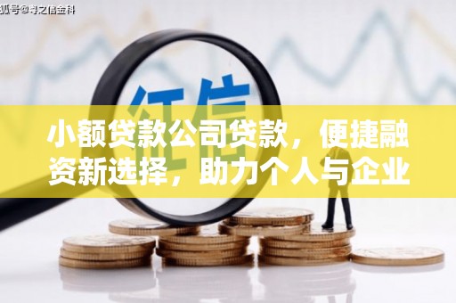 大余小额贷款公司贷款，便捷融资新选择，助力个人与企业成长