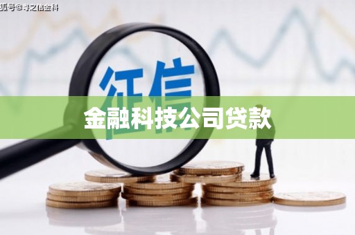 丰都金融科技公司贷款