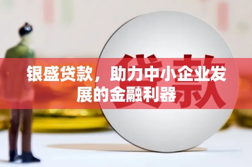 秦安银盛贷款，助力中小企业发展的金融利器