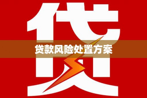 燕巢贷款风险处置方案