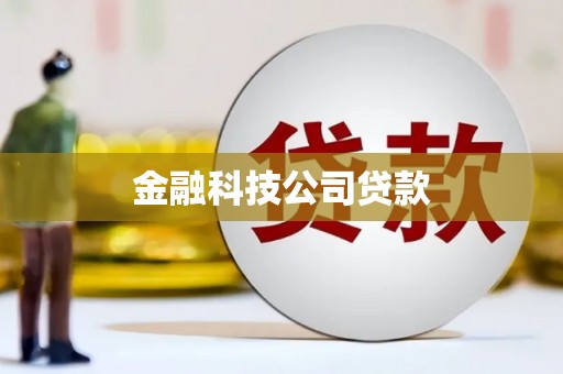 泸溪金融科技公司贷款