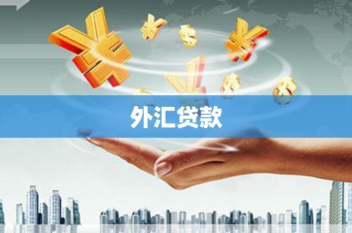 溪口外汇贷款