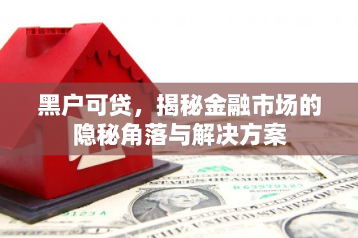 西昌黑户可贷，揭秘金融市场的隐秘角落与解决方案