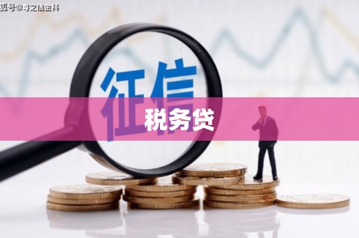 东宝税务贷
