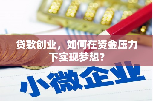 沧县贷款创业，如何在资金压力下实现梦想？