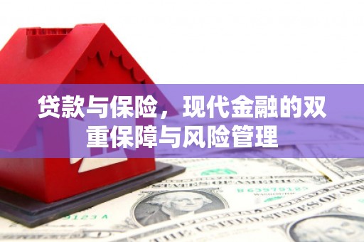 红安贷款与保险，现代金融的双重保障与风险管理