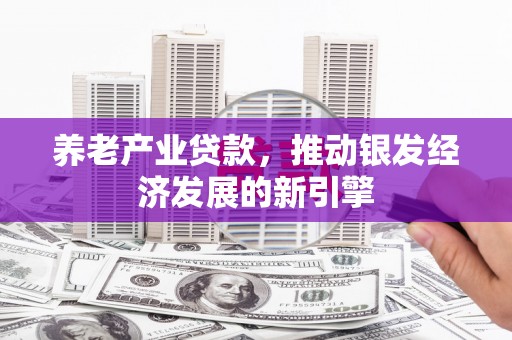 石楼养老产业贷款，推动银发经济发展的新引擎