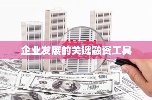 大余企业发展的关键融资工具