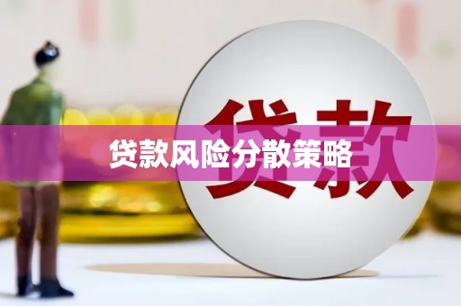 泰来贷款风险分散策略