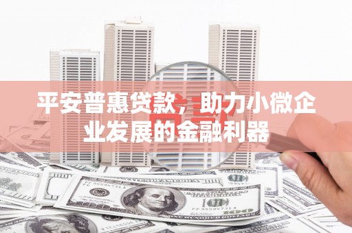 澧县平安普惠贷款，助力小微企业发展的金融利器