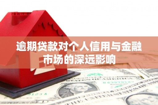 狮潭逾期贷款对个人信用与金融市场的深远影响