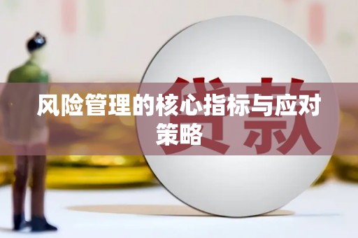 吉隆风险管理的核心指标与应对策略