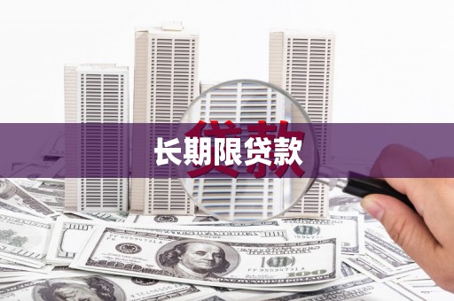大名长期限贷款