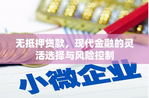 龙潭无抵押贷款，现代金融的灵活选择与风险控制