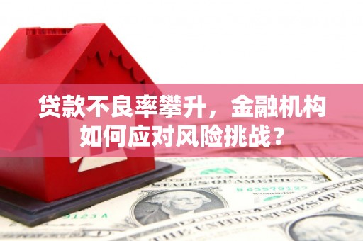 梁山贷款不良率攀升，金融机构如何应对风险挑战？