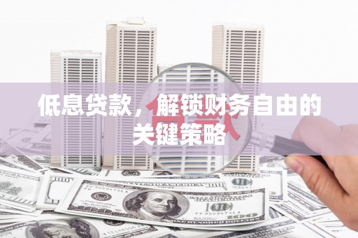 芦淞低息贷款，解锁财务自由的关键策略