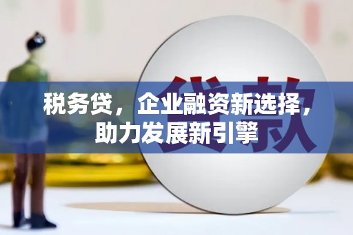 荷塘税务贷，企业融资新选择，助力发展新引擎
