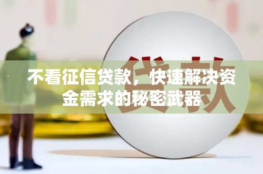 宣化不看征信贷款，快速解决资金需求的秘密武器