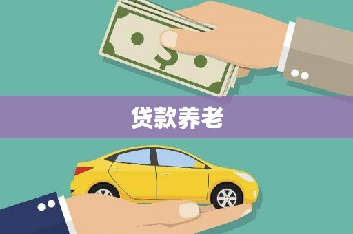 循化贷款养老