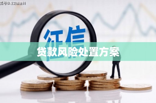 凤泉贷款风险处置方案