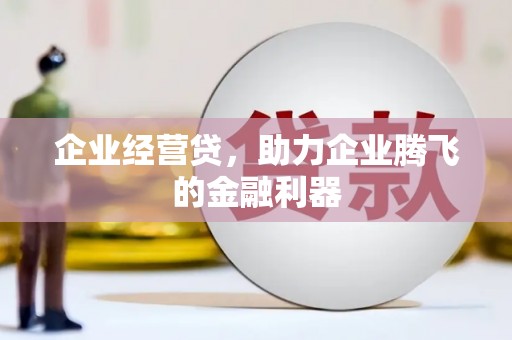 陆丰企业经营贷，助力企业腾飞的金融利器
