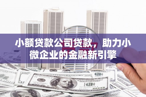 瑞芳小额贷款公司贷款，助力小微企业的金融新引擎